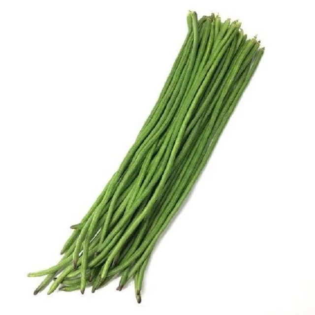 Green Beans - Taste Great , long green beans exports more