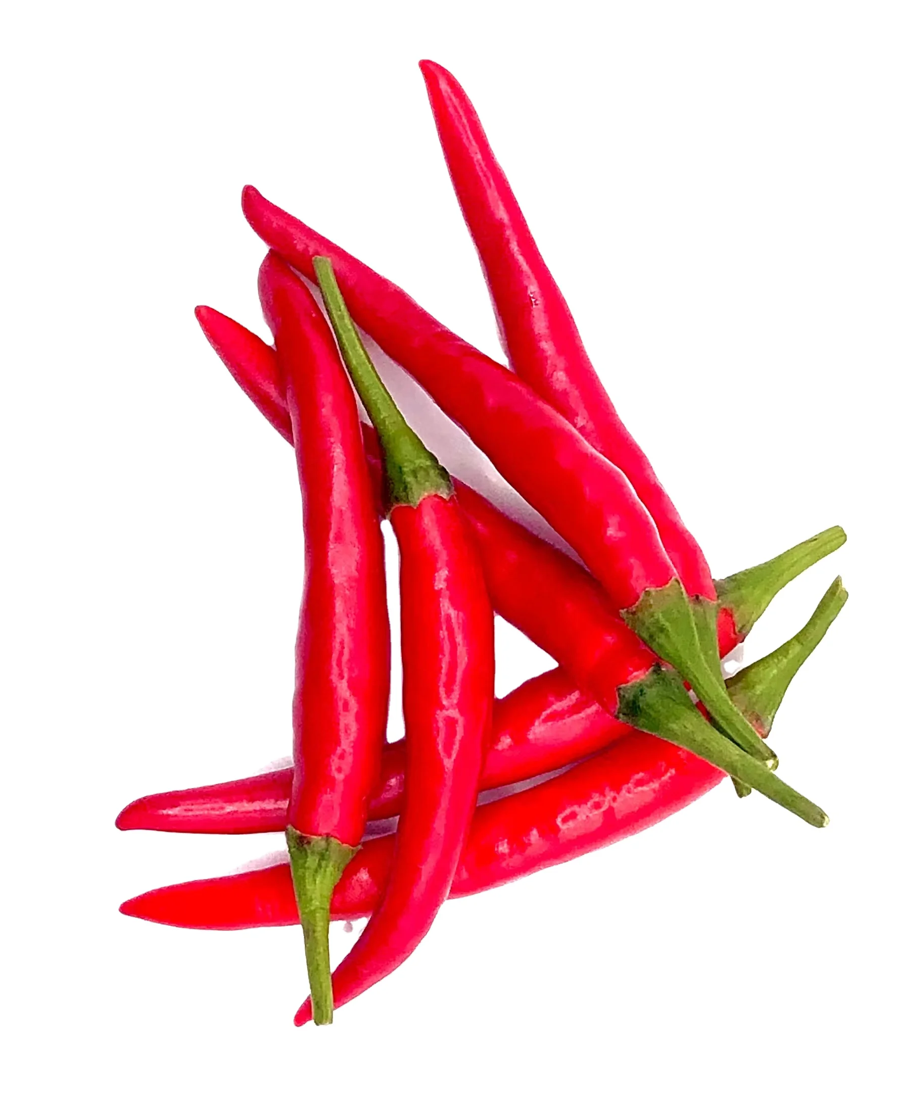 Premium Other Fresh vegetables Spices Seasoning Red Chili from Thailand