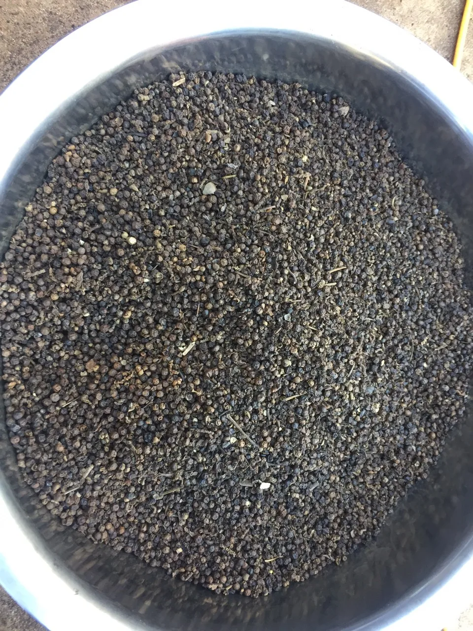 Лучшая фабрика Вьетнамский черный перец низкая цена высокое качество оптовая упаковка OEM 2024 (WHATSAP 0084 989 322 607)