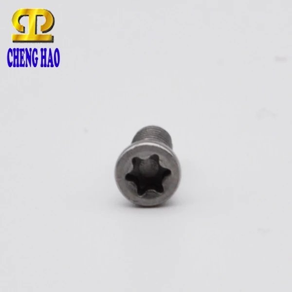 CNC-gereedschapshouder Schroef Fastener Manufacturer Milling Stainless Steel Torx Socket Screws