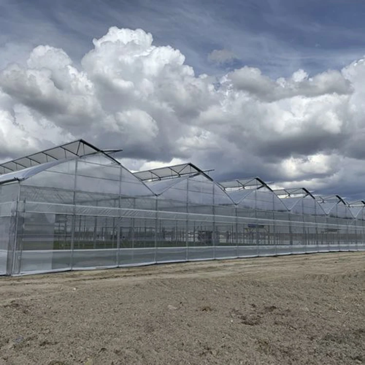 Легкая сборка, листовая теплица из поликарбоната, низкая цена, сельскохозяйственная теплица