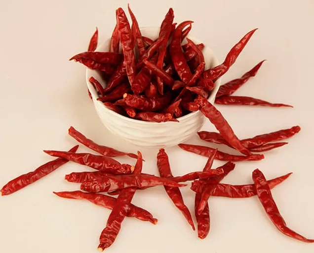 Teja S17 Red Chilli stemcut индийское происхождение Премиум качество для экспорта