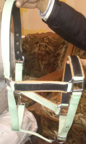 Fleece Padded PP halters IN;34648 full cob Shetland