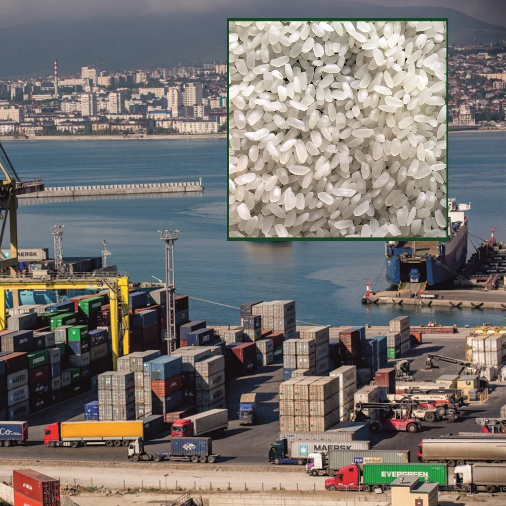 Premium quality white rice  25/35 kg bags or in bulk, product of Russia