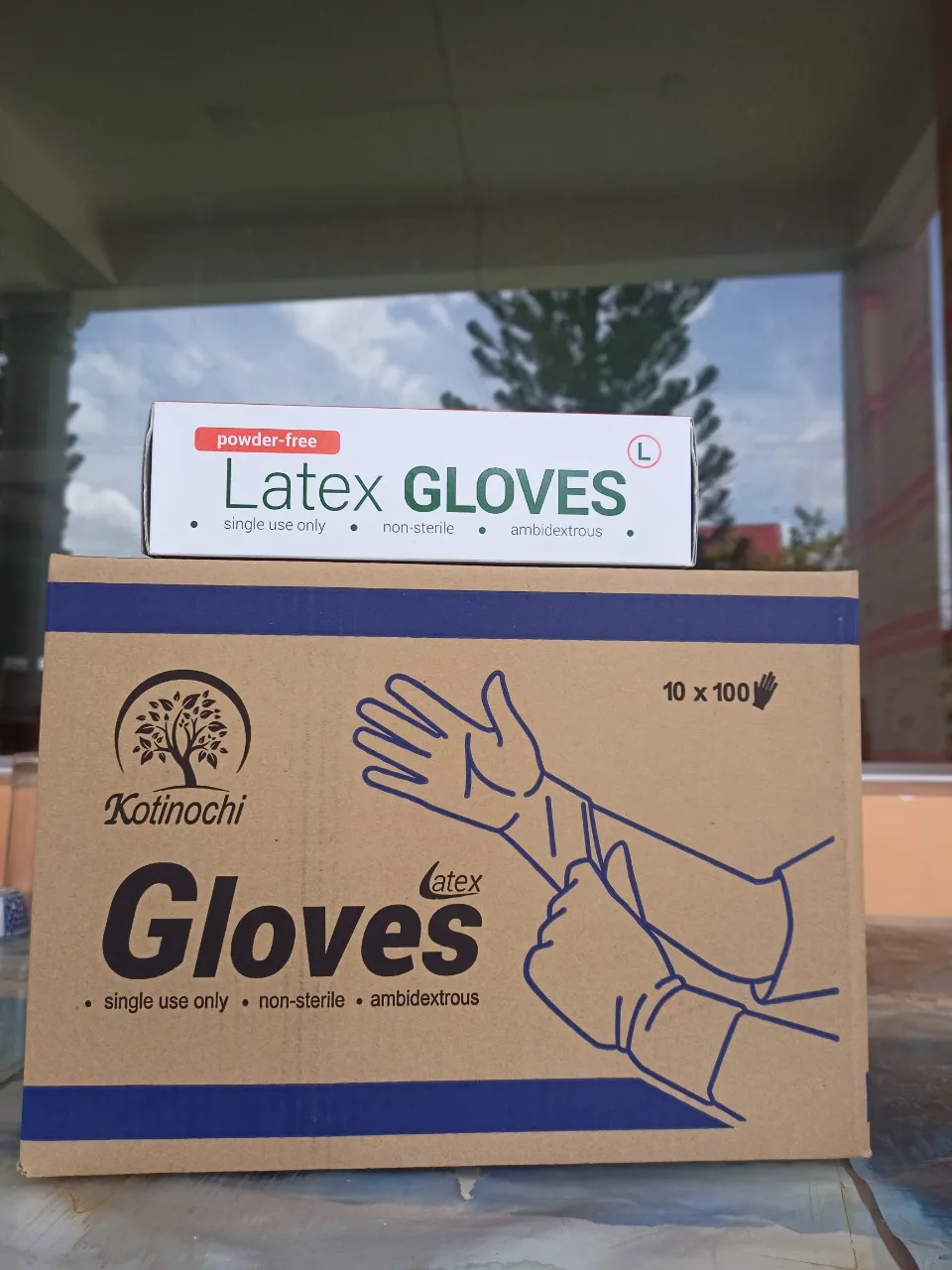 Nitrile Examination Rubber g.l.o.v.e.s in Vietnam Kotinochi Brand/ Latex Powder free and Powdered