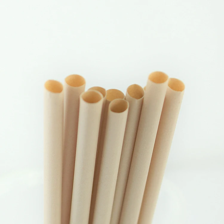 Low MOQ Compostable Plant Based Individually packaged Straws