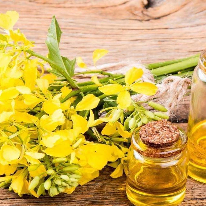 
Refined Rapeseed Oil / Canola Oil for Sale 