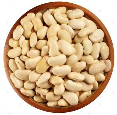  Wholesale White Dried Speckled Butter Beans For Sale at Low