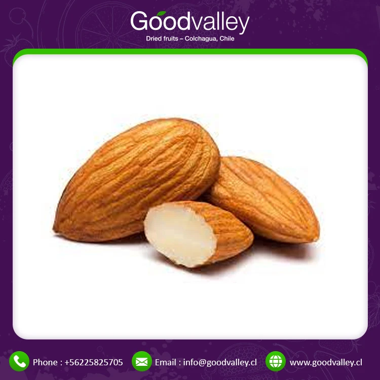 Almond Nuts Export 100% Natural Almond Top Quality Raw Almonds Nuts