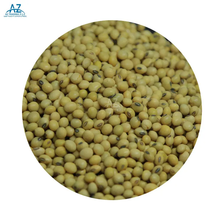 Trusted Exporter of High Quality 50% Min Oil Content Machine Cleaned Soya Beans