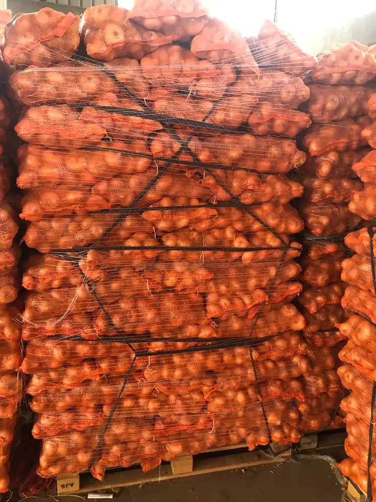 Fresh Yellow onions