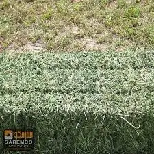 Высокое качество Родос сена Большие Рулоны для корма