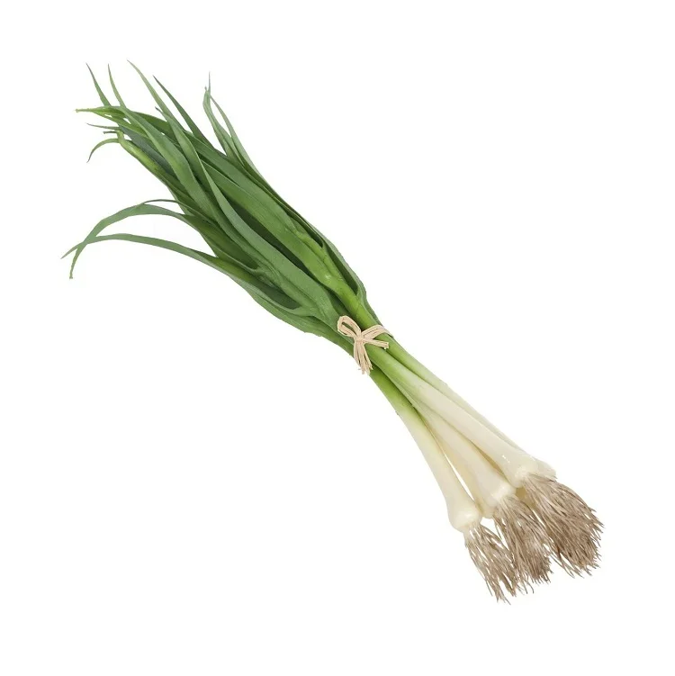 
Natural Quality Best Price Fresh Vegetables Scallions Available In Bulk 