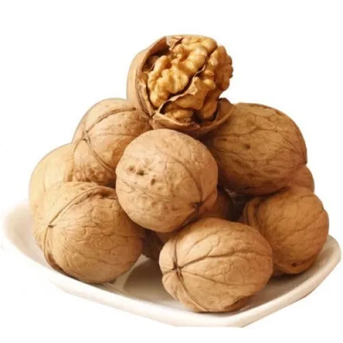 Wholesale Dried Walnuts raw Walnuts with shell