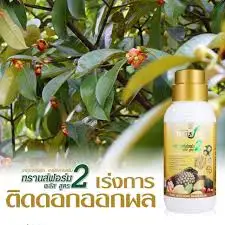 Best Selling TRANSFORM PLUS 2 Liquid Fertilizer Plant Uupplement Health Formula Advanced Micro Nutrients Plants from Thailand