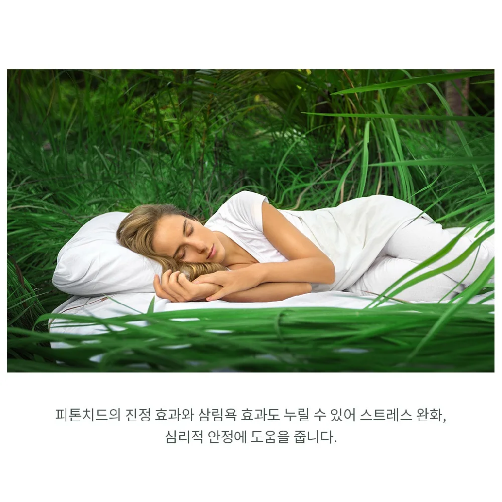 100% Natural Cypress Spray 250ml 500ml Phytoncide Healing Car Home Refresh Air Mold Mite Tick Sick House Syndrome made in Korea