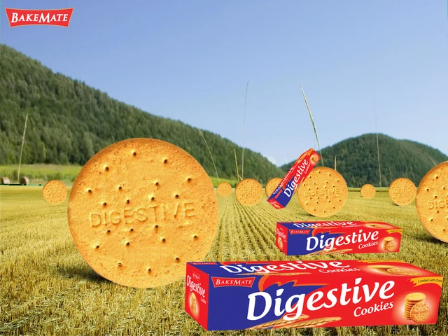 High Fiber Digestive Biscuits at best price