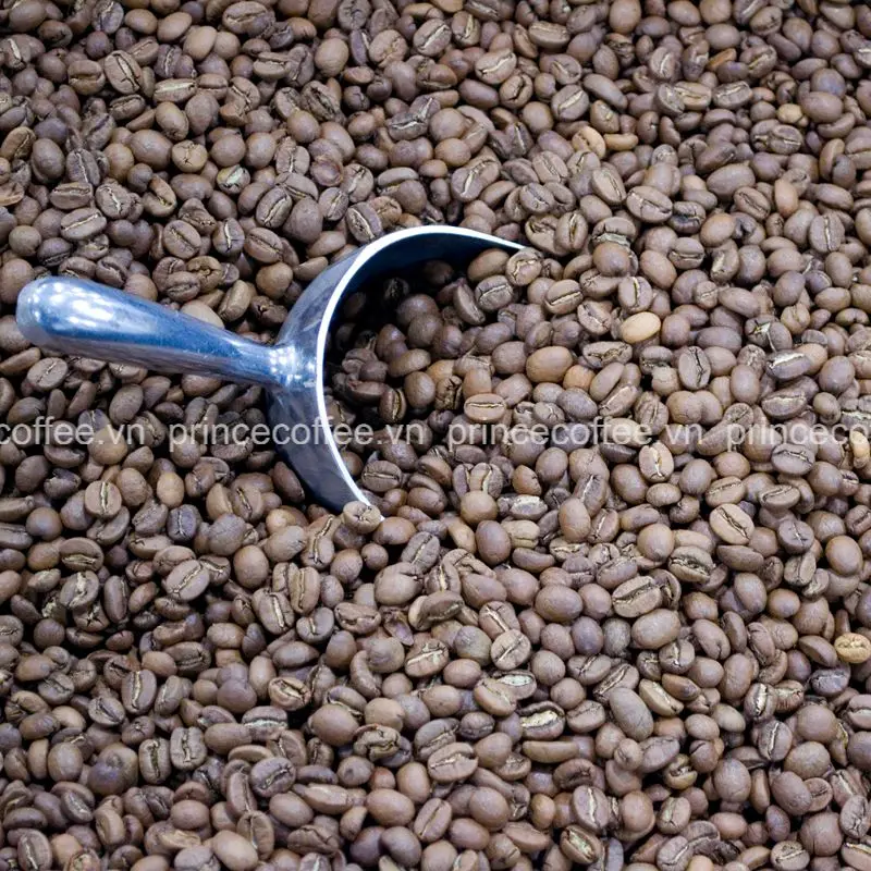  Высококачественные вьетнамские кофейные зерна Arabica 18 scr жареные смесь кофе