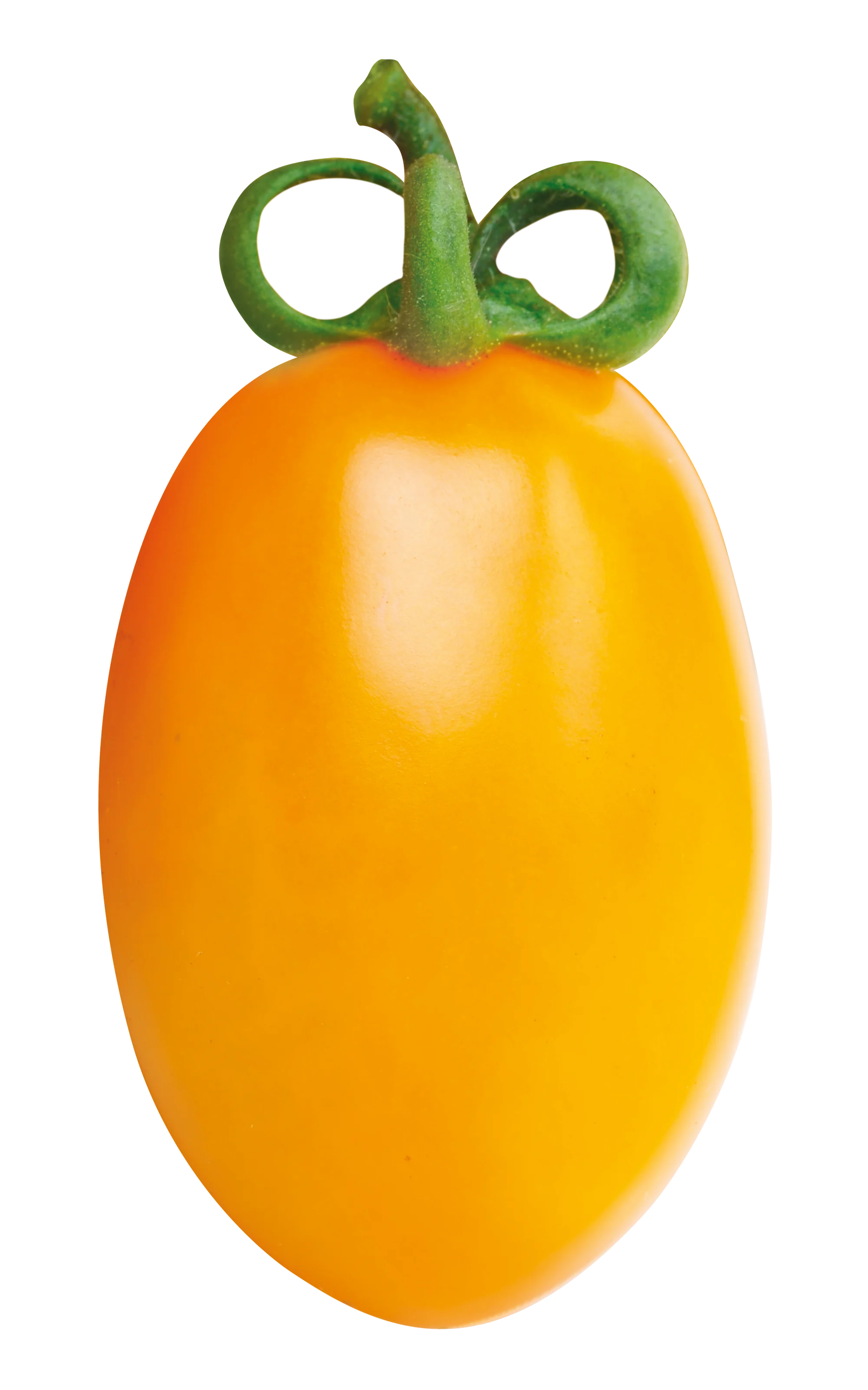 Top Quality 100% Italian Premium Quality Ready delicate taste Yellow Cherry Tomatoes 400g can for seasoning