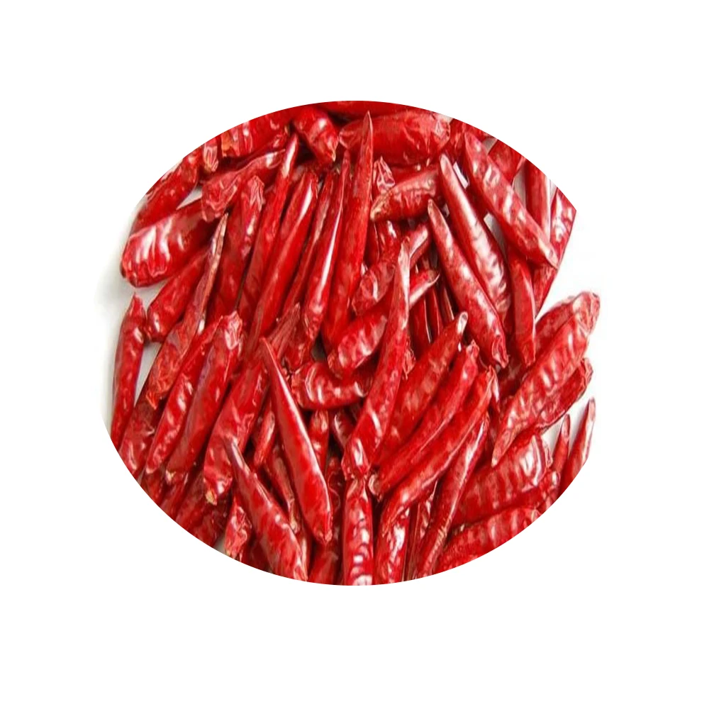 TejaS17 Stemless Dry Red Chillies Exporter in India