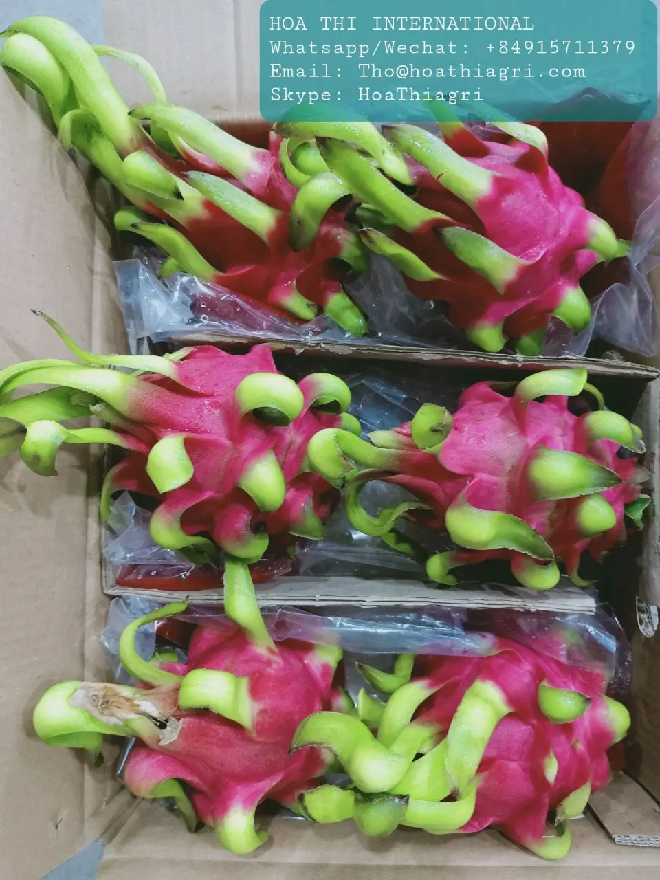 High Quality and Best Price Red Flesh 350-600gram Vietnam US, EU, ASIA Market Sweet Taste Fresh Dragon Fruit