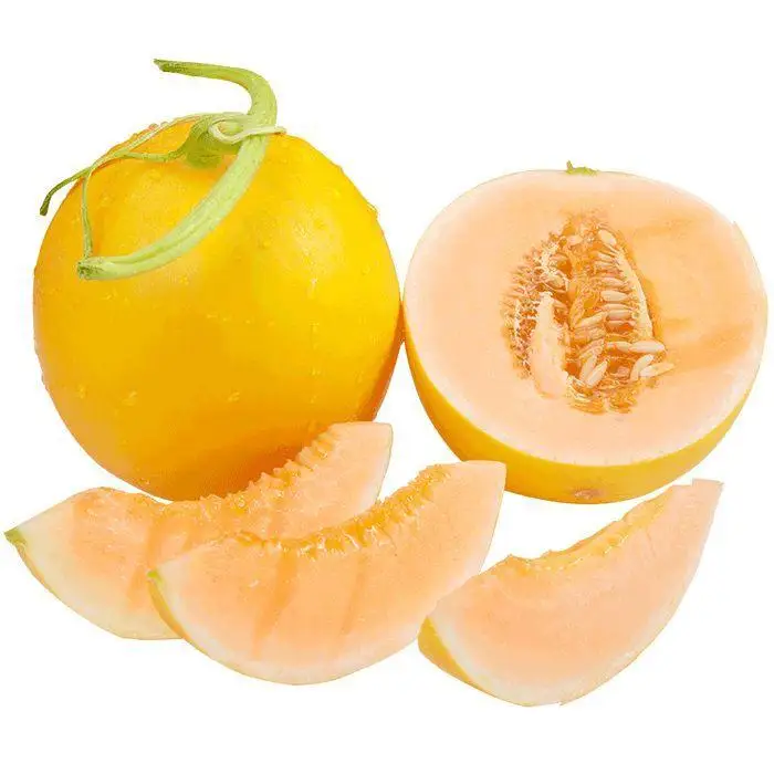 Fresh Sweet Gold Melon from Vietnam with High Quality