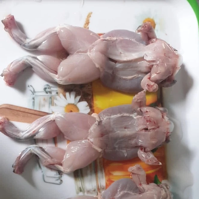 Поднятые органические ножки лягушки с йогой стиль осанки