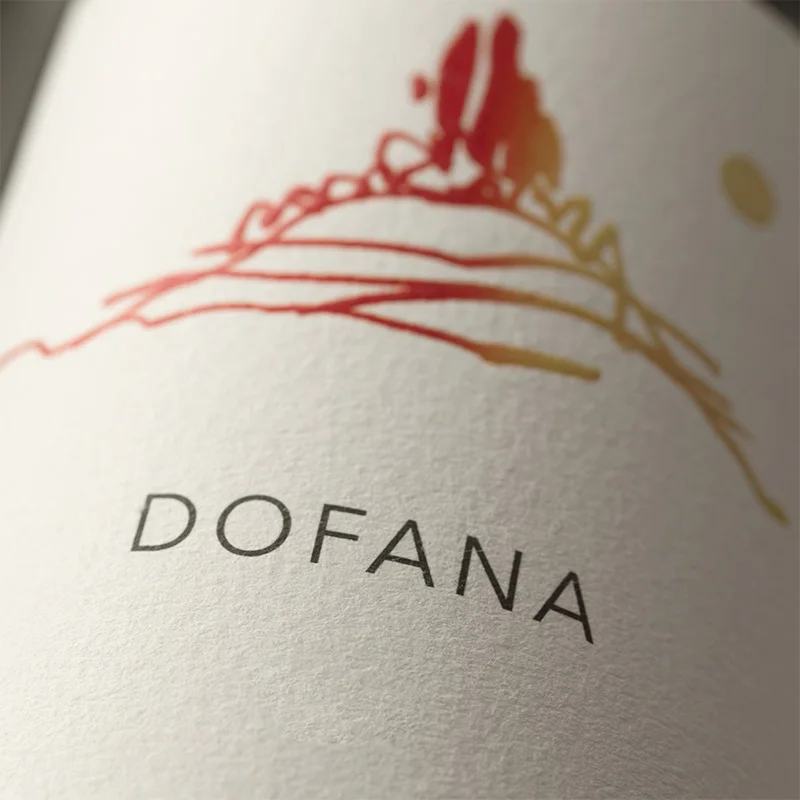 Высококачественное итальянское органическое красное вино Dofana Chianti Classico DOCG 750 мл