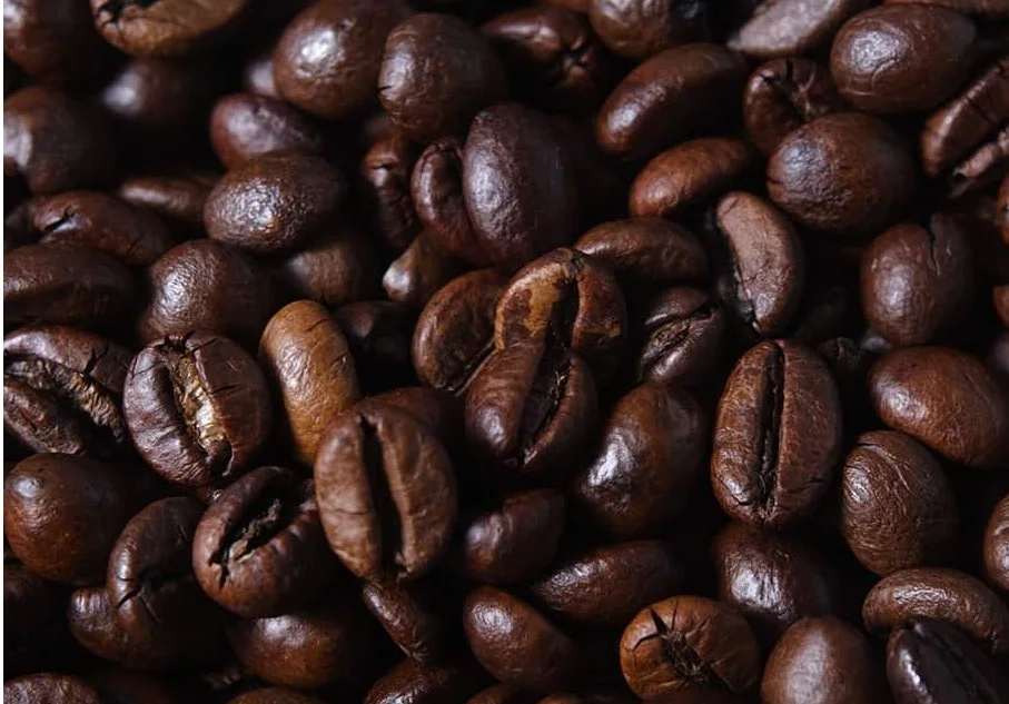 Wholesale Best Quality Bulk Robusta Coffee Bean For Sale In Cheap Price