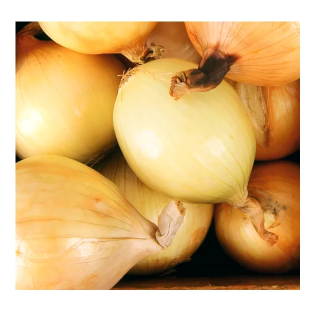 100% органический и свежий лук в индивидуальной упаковке по низкой цене