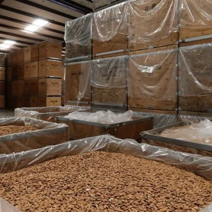 Оптовая продажа миндальных орехов из Калифорнии. Размер