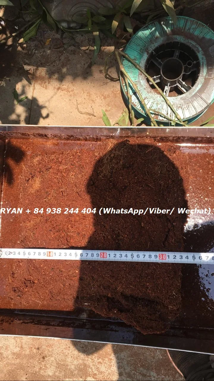Coco peat block washed low EC 5 kg for gardening Ryan + 84 938244404