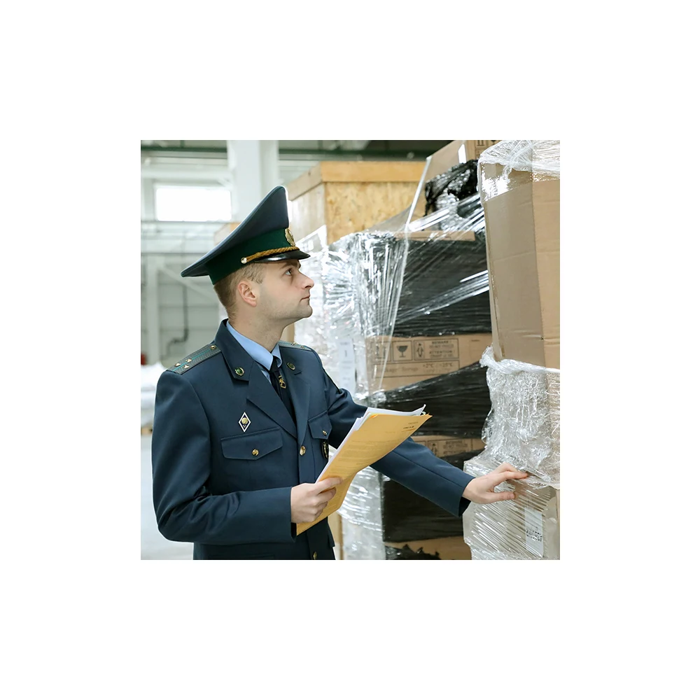 Customs Broker Agent in Russia