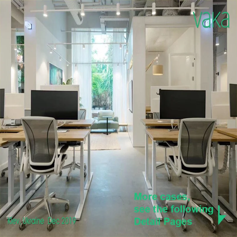 Smart office electronic systems 020 ergonomic 2 motors adjustable height computer desk