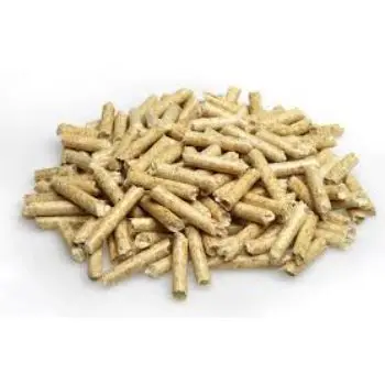 images (34).jfif.jpg