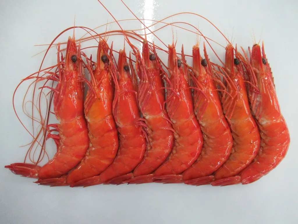 High quality Wholesale Raw HOSO Vannamei Shrimp Head On Shell On  Vietnam Fresh Seafood ready to ship, export