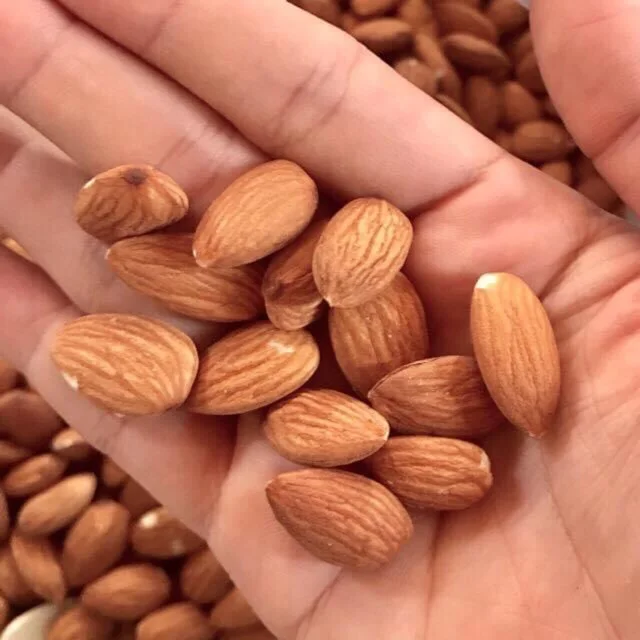 Wholesale Crispy Roasted Almond Nut With Natural Nutrition Healthy For People
