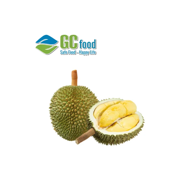 Wholesale Frozen IQF Durian /Durian price High Quality Durian Fruit From VietNam (Frozen Durian) with LC / TT at sight