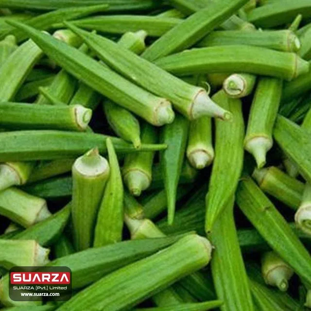Здоровая форма свежий сезонный okra поставляется в Австралию Великобританию и другие страны по очень подходящей цене