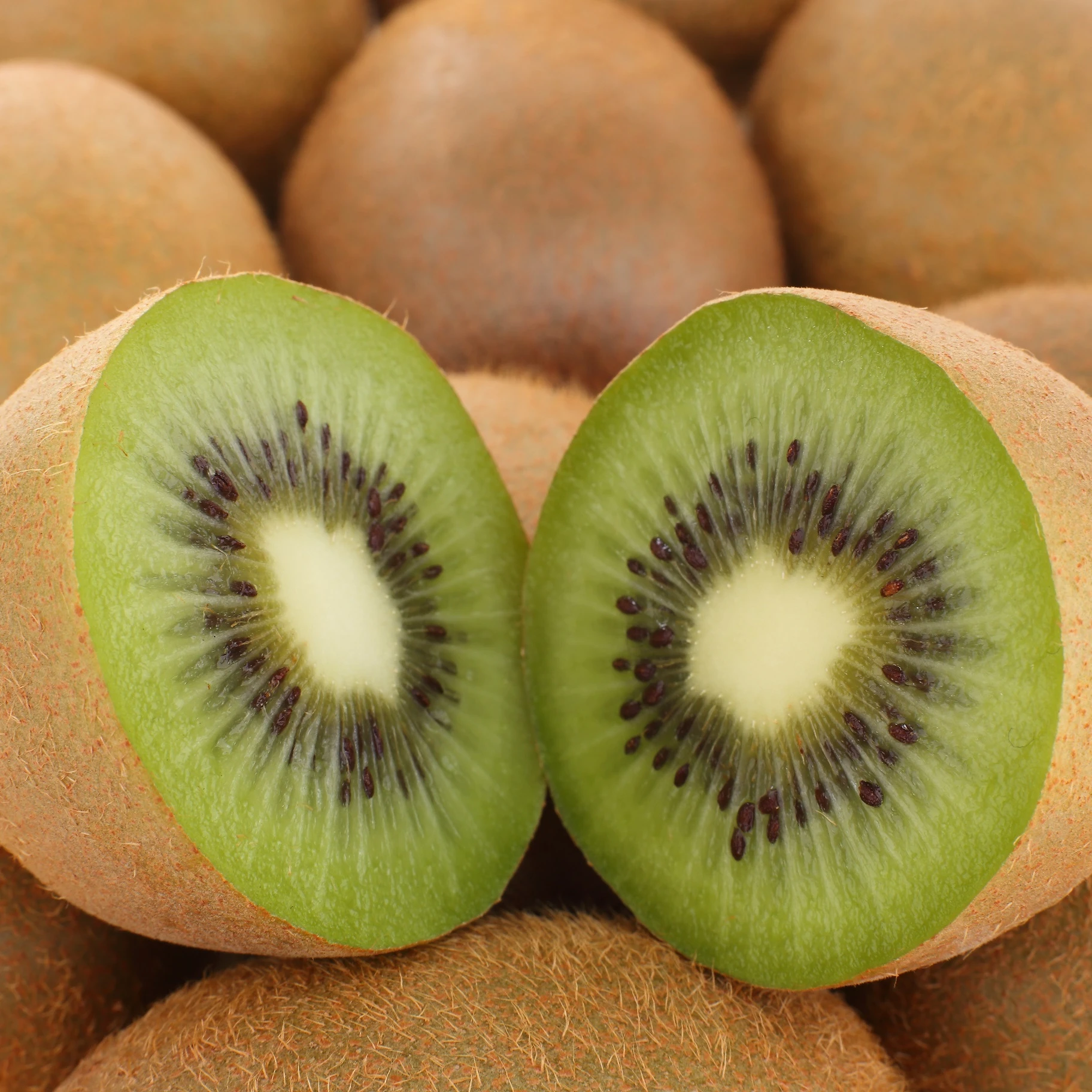 KIWI2.jpg