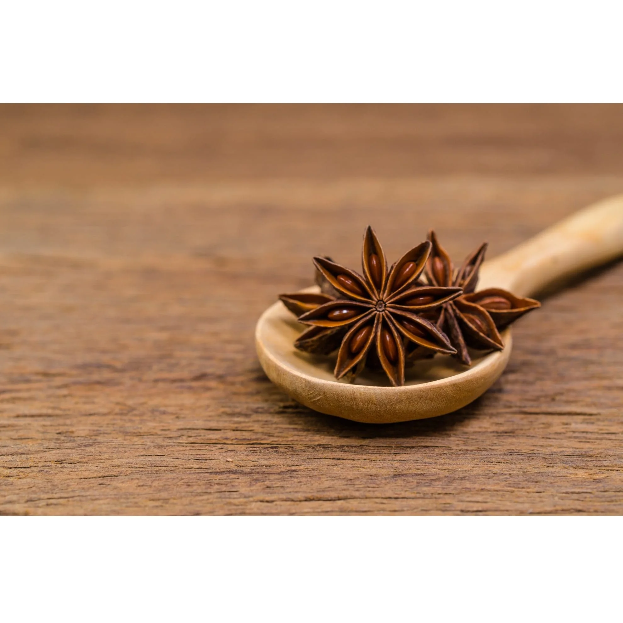 Bulk Selling Natural Brown Dried Style Raw Processing Whole Star Anise Collected for Craft Highest Quality