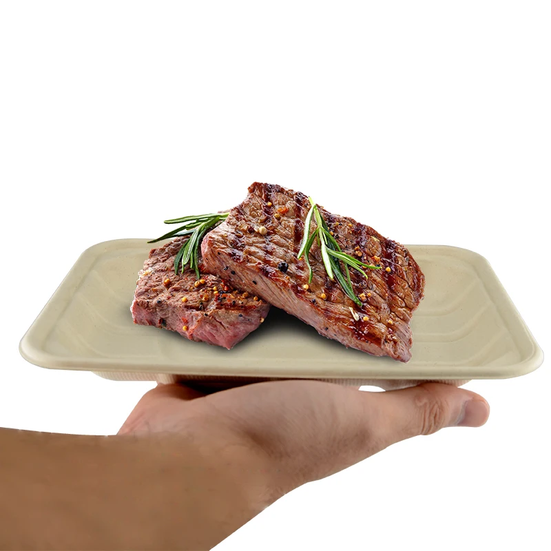 WholeSale sugarcane bagasse pulp paper food tray for meat eco-friendly biodegradable disposable compostable