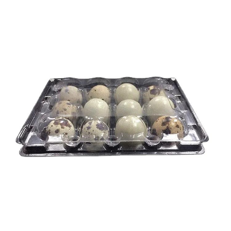 (1000 шт.) Контейнеры Для перепелов с 12 отверстиями, прозрачные коробки для яиц из ПВХ для перепелов, диаметр 28 мм