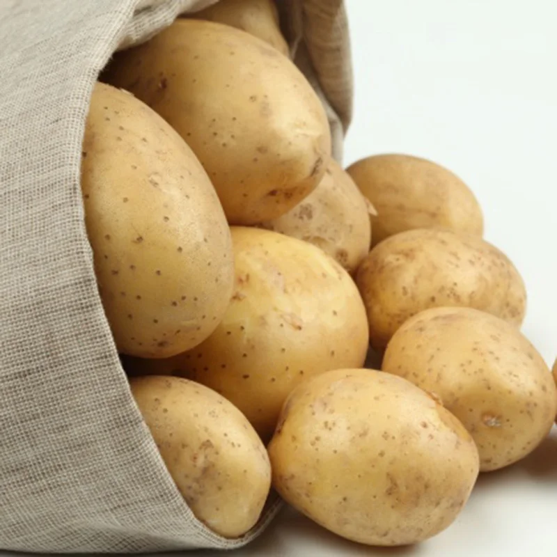 100% Natural Fresh wholesale Cheap Potato holland potato suppliers