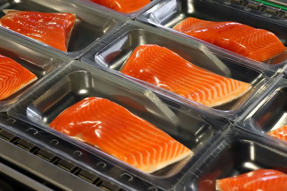 Popular salmon fillets steak Vacuum Sealer Packing Machine