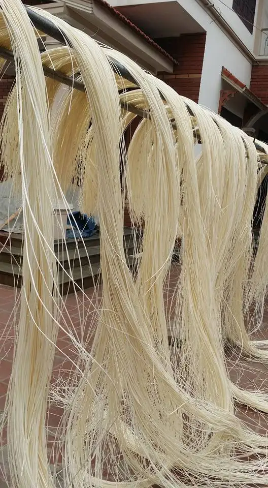 Raw Material Rattan Core 3mm With Natural Color For Making Furniture +84947900124