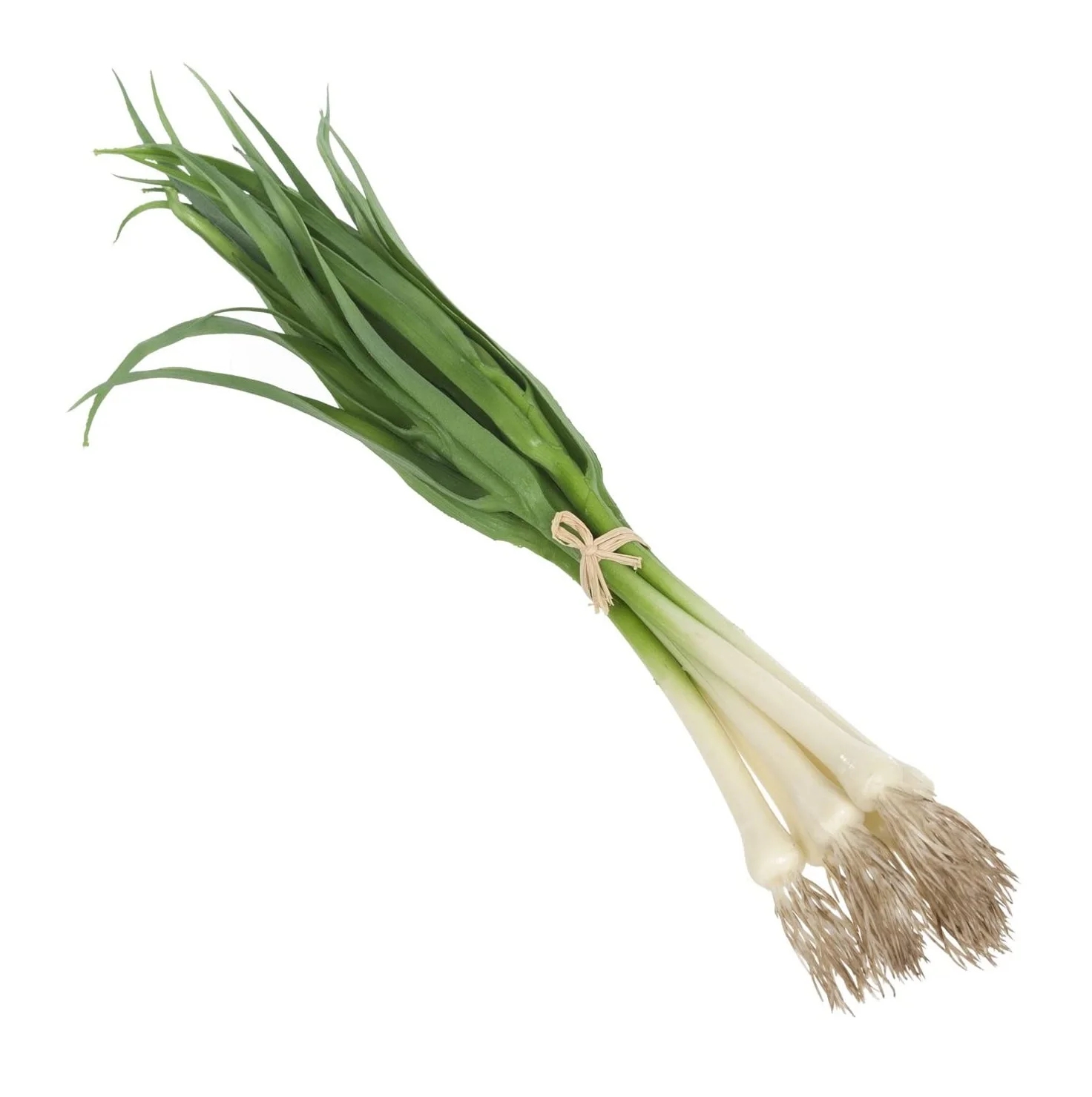 
High Quality Fresh Vegetables Scallions Available For Sale 