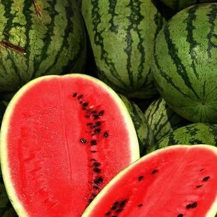 
Water Melon 