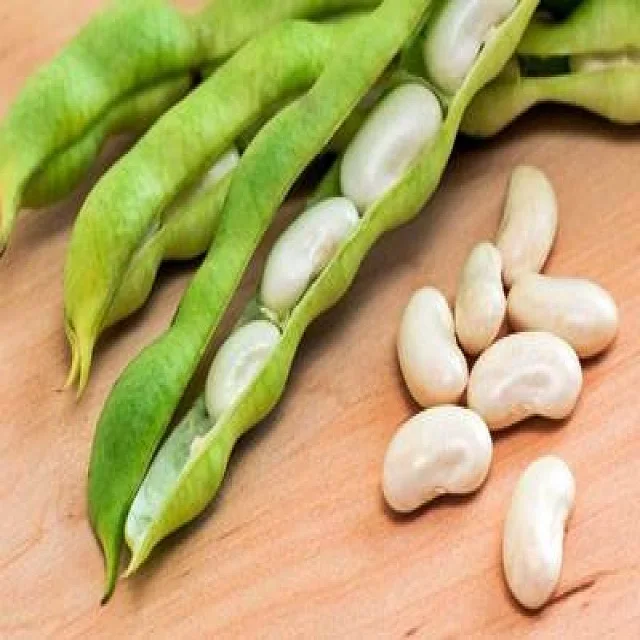 
Lima beans butter beans 