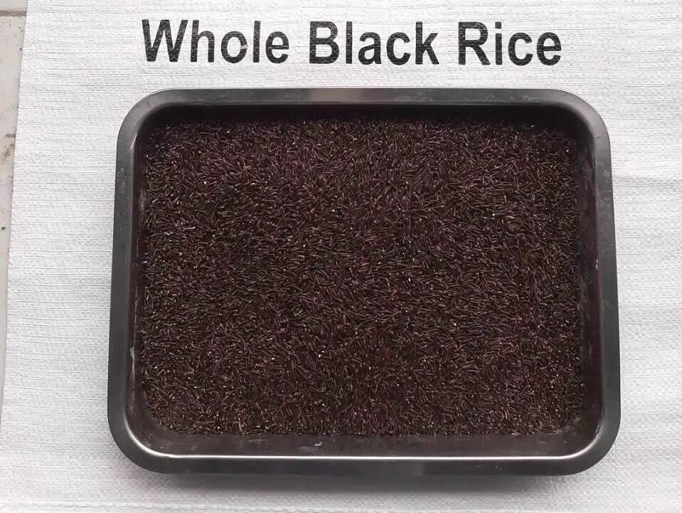 
Black Rice Vietnamese Rice Export Wholesale Rice - Whatsapp 0084 923 158 607 